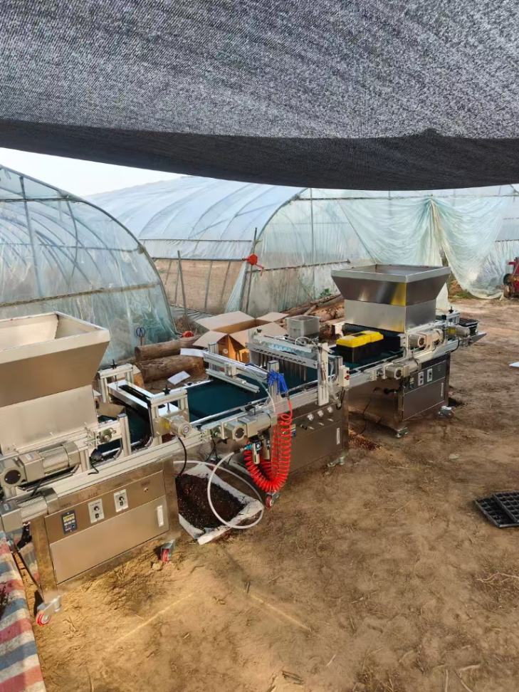 Greenhouse Vegetable Nursery M - đánh giá và giá Nursery